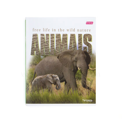 Տետր Yalong, Animals, Elephant, 96 թերթ, տողանի