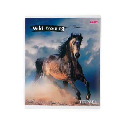 Տետր Yalong, Wild Training, Horse, 48 թերթ, տողանի